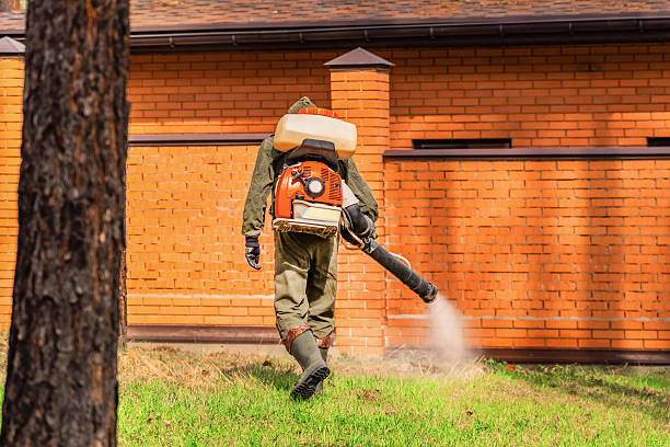 Bed Bug Clearance Verification and Documentation in Holmes Beach